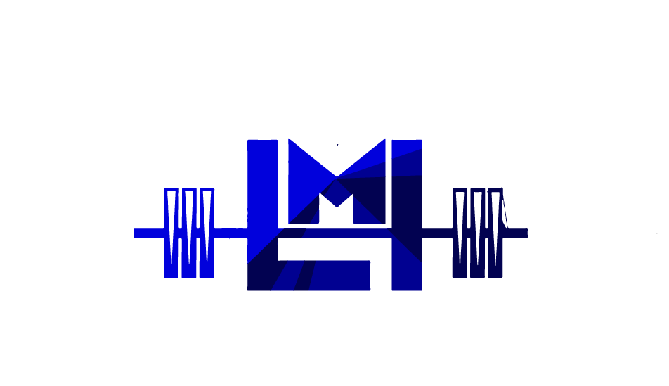 LMI Fitness Logo
